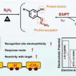 La sonde de fluorescence zéro-fond permet une détection précise de l'hydrazine dangereuse