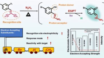 La sonde de fluorescence zéro-fond permet une détection précise de l'hydrazine dangereuse