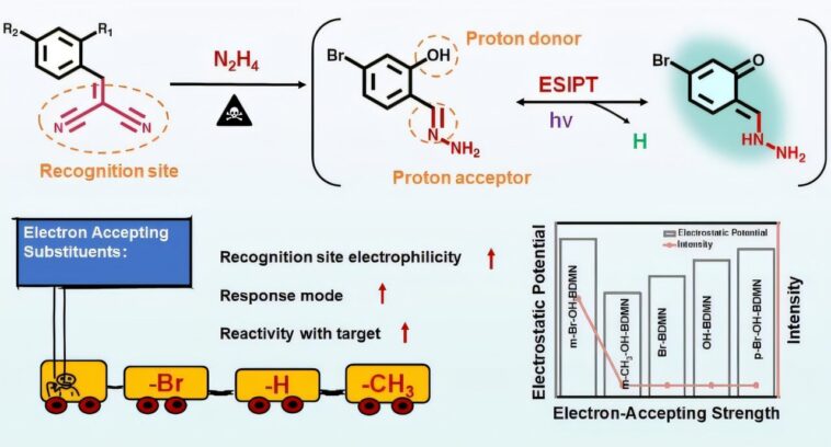La sonde de fluorescence zéro-fond permet une détection précise de l'hydrazine dangereuse La sonde de fluorescence zéro-fond permet une détection précise de l'hydrazine dangereuse