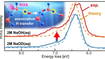 La spectroscopie aux rayons X révèle une attraction de protons inattendue