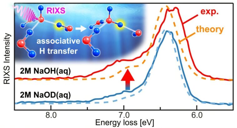 La spectroscopie aux rayons X révèle une attraction de protons inattendue