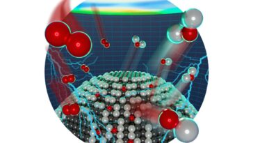 La technique au niveau moléculaire révèle qu'un seul grain catalytique fonctionne en temps réel