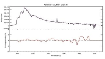 La variable cataclysmique ASASSN - 14DX contient une naine blanche pulsante massive, les observations trouvent