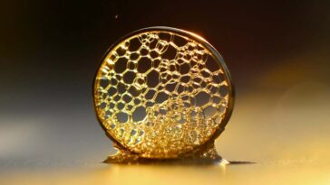 Le concours de photographie met en lumière la beauté de la science en détail