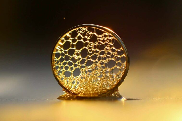 Le concours de photographie met en lumière la beauté de la science en détail