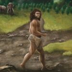 Le fossile de Denisovan de Taïwan donne une idée des mystérieux humains anciens Le fossile de Denisovan de Taïwan donne une idée des mystérieux humains anciens