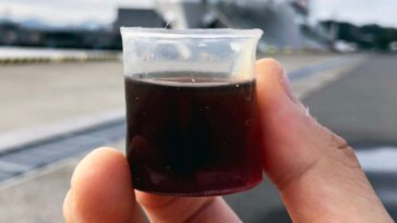 Le matériau imperméable à base de plantes pourrait remplacer les plastiques à usage unique