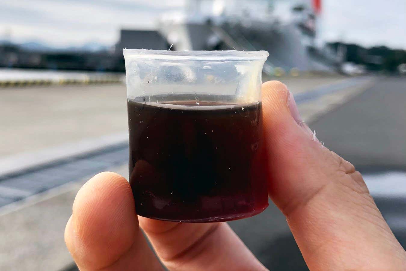 植物の防水材料は、単一使用プラスチックを置き換えることができます