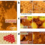 Le modèle de cristal colloïdal révèle de nouveaux facteurs dans le contrôle de la formation de polymorphes Le modèle de cristal colloïdal révèle de nouveaux facteurs dans le contrôle de la formation de polymorphes