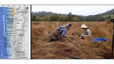 Le naufrage des terres axé sur les tremblements de terre pourrait augmenter le risque d'inondation dans le nord-ouest du Pacifique