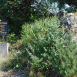 Photo du plus ancien signe rock au Minnesota