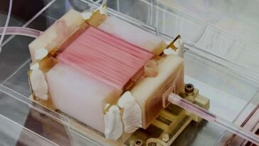 A machine that delivers nutrient-rich liquid inside artificial chicken fibres