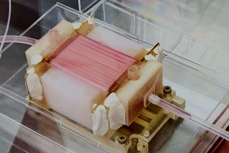 A machine that delivers nutrient-rich liquid inside artificial chicken fibres