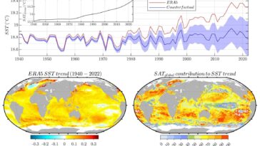Le réchauffement climatique a triplé la longueur des vagues de chaleur marine depuis 1940, la modélisation de l'étude révèle