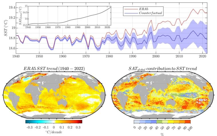 Le réchauffement climatique a triplé la longueur des vagues de chaleur marine depuis 1940, la modélisation de l'étude révèle Le réchauffement climatique a triplé la longueur des vagues de chaleur marine depuis 1940, la modélisation de l'étude révèle