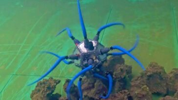 Le robot inspiré des bactéries utilise 12 flagelles de rotation pour errer sous l'eau