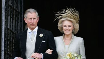 Le roi Charles et la reine Camilla célèbrent 20 ans de mariage avec la séance photo romantique