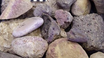 Le site de l'âge du fer était une usine de colorants violets pendant des siècles