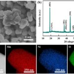 Le suivi de la structure magnétique en temps réel révèle l'oxygène redox dans les matériaux cathodiques riches en Li Le suivi de la structure magnétique en temps réel révèle l'oxygène redox dans les matériaux cathodiques riches en Li