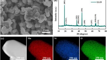 Le suivi de la structure magnétique en temps réel révèle l'oxygène redox dans les matériaux cathodiques riches en Li