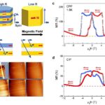 Les aimants quantiques Kagome obtiennent des effets de vanne à spin sans empilement de matériaux complexes
