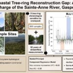 Les anneaux d'arbres des montagnes Gaspésie du Canada révèlent les effets du réchauffement climatique qui remonte à près d'un siècle