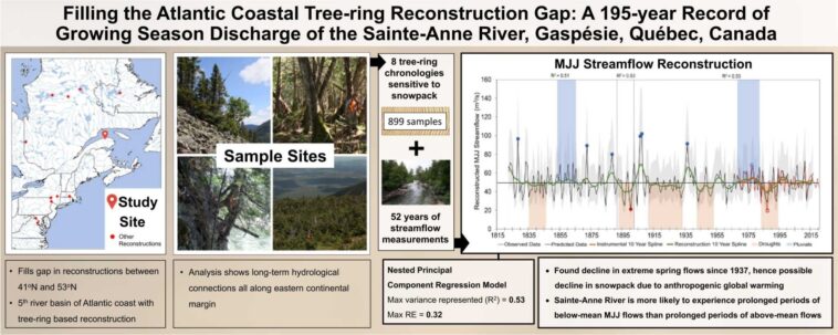 Les anneaux d'arbres des montagnes Gaspésie du Canada révèlent les effets du réchauffement climatique qui remonte à près d'un siècle