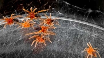 New Scientist. Science news and long reads from expert journalists, covering developments in science, technology, health and the environment on the website and the magazine.