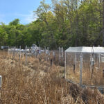 Une photographie d'une étude sur le terrain du méthane des zones humides au Smithsonian Environmental Research Center du Maryland.
