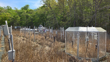 Une photographie d'une étude sur le terrain du méthane des zones humides au Smithsonian Environmental Research Center du Maryland.