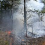 Les brûlures contrôlées réduisent les risques de forêt, mais ils ont besoin d'un personnel formé et d'un financement. Cela pourrait être une année difficile