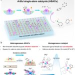 Les catalyseurs astucieux à atomes uniques peuvent permettre une synthèse chimique et pharmaceutique durable Les catalyseurs astucieux à atomes uniques peuvent permettre une synthèse chimique et pharmaceutique durable