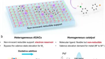 Les catalyseurs astucieux à atomes uniques peuvent permettre une synthèse chimique et pharmaceutique durable