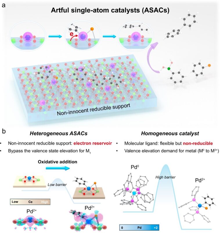 Les catalyseurs astucieux à atomes uniques peuvent permettre une synthèse chimique et pharmaceutique durable