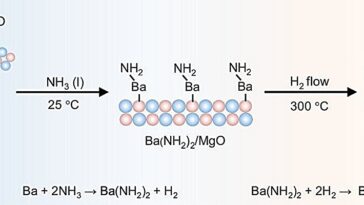 Les catalyseurs d'hydrure de baryum dispersés atomiquement permettent la deutération d'alkalarene non activée
