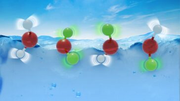 Les chercheurs montrent pourquoi l'eau et l'eau lourde se comportent de la même manière