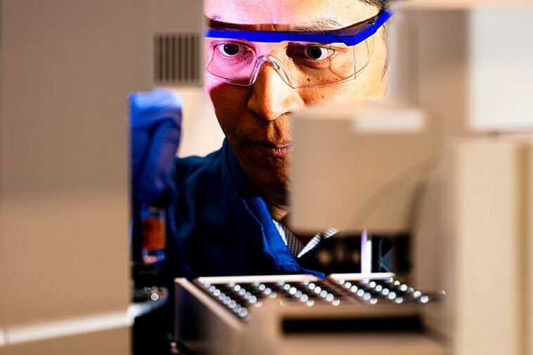 Les chercheurs ressuscitent le gène éteint dans les plantes ayant des implications majeures pour le développement de médicaments