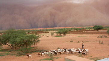 Les conditions du sol augmentent considérablement les précipitations dans les points chauds mégastorm du monde, montre l'étude