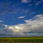 Les coupes climatiques américaines nuisent à la science mondiale: l'agence météorologique de l'Europe