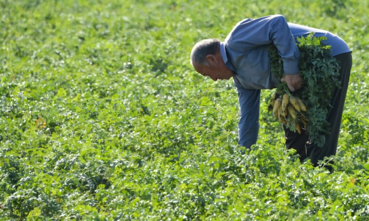 Les cultures menacées comme surprise MARCH WAVE WAVE HITS ASIE CENTRAL: ÉTUDE