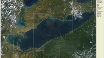 Les cyanobactéries coupables derrière la toxine du lac Érié découverte dans une nouvelle étude