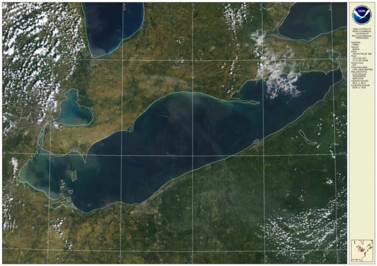 Les cyanobactéries coupables derrière la toxine du lac Érié découverte dans une nouvelle étude