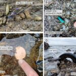Les déchets industriels se transforment en rock dans seulement des décennies, la recherche révèle Les déchets industriels se transforment en rock dans seulement des décennies, la recherche révèle