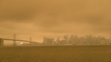 Les émotions et les niveaux de menace affectent la résilience des communautés lors d'événements extrêmes