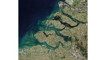 Les estuaires du monde entier devraient devenir plus salés au cours des prochaines décennies