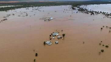 Les inondations "déchirantes" marais le pays du bétail de l'Australie