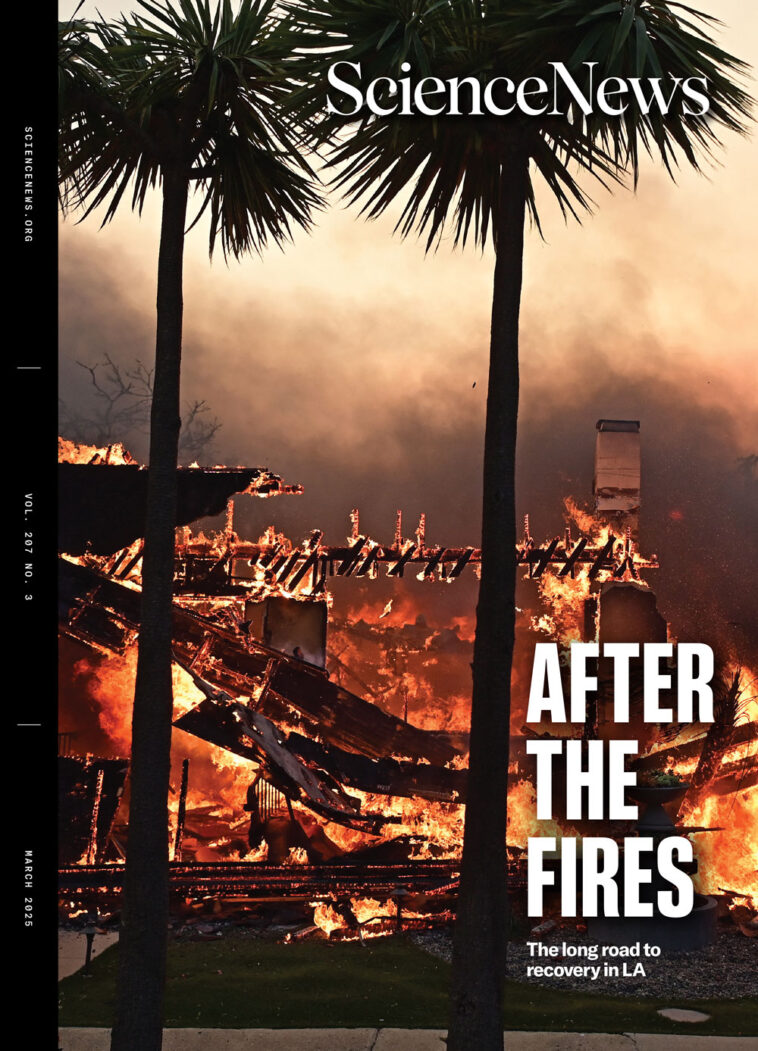 Couverture de magazine pour le numéro de mars