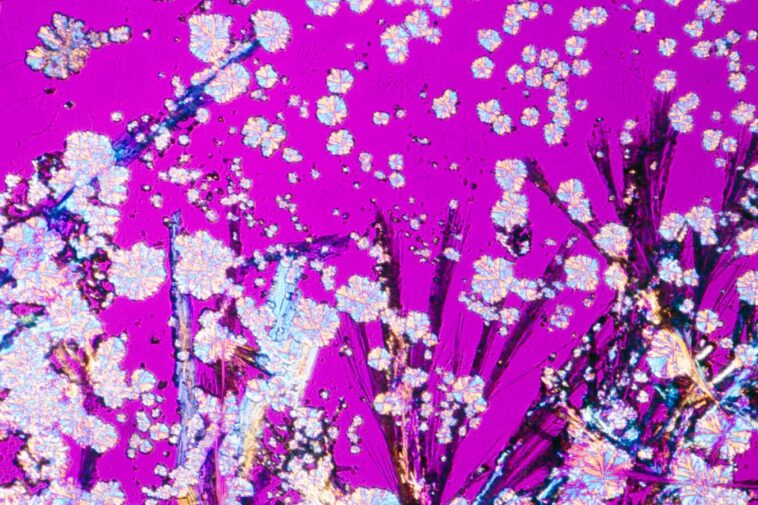 Cocaine drug crystals.