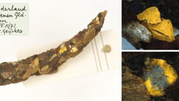 Les microplastiques découvertes dans les enveloppes caddisfly des années 1970 suggèrent une contamination à long terme