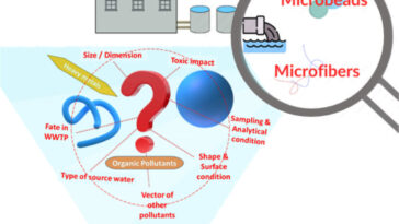 Les microplastiques se glissent toujours dans les usines de traitement des eaux usées, transportant des polluants et menaçant une santé à long terme